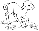 Disegni Agnellini